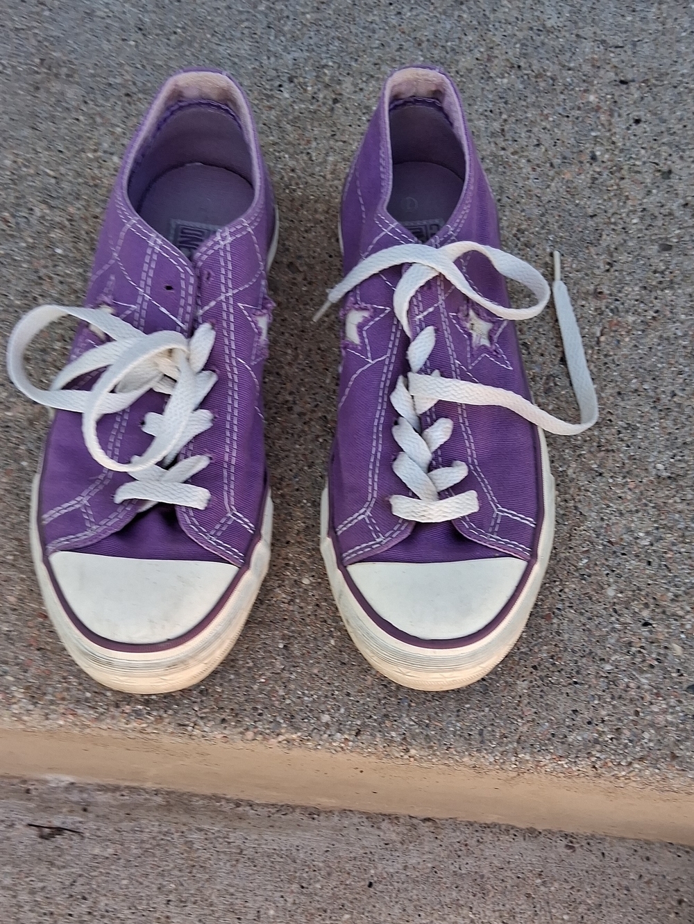 Purple Canvas Low-Top Women's Sneakers
